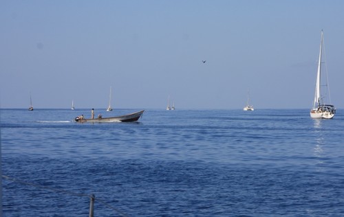 Sea Life Convoy in the Gulf of Aden © SW